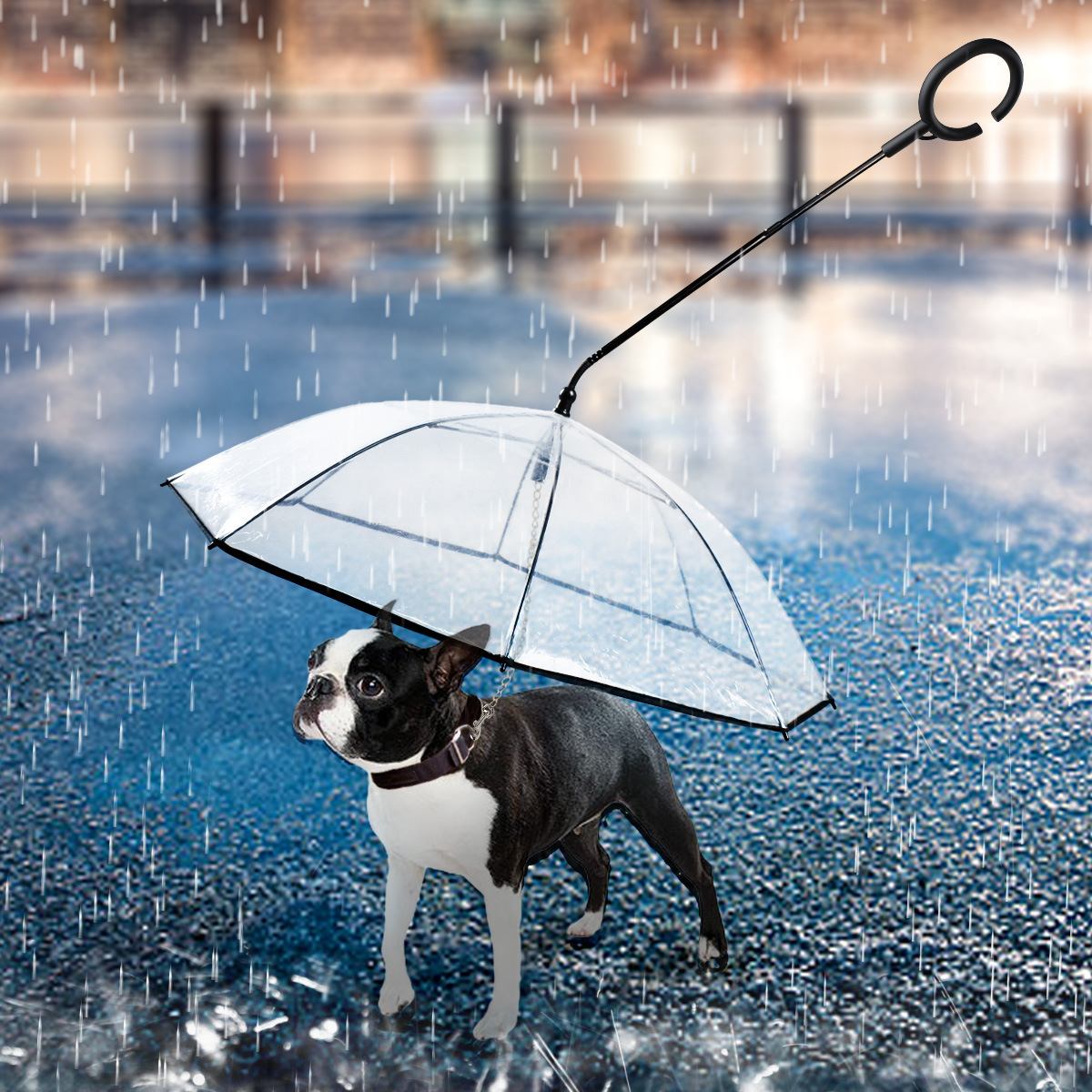 Why do dogs wear raincoats on rainy days？